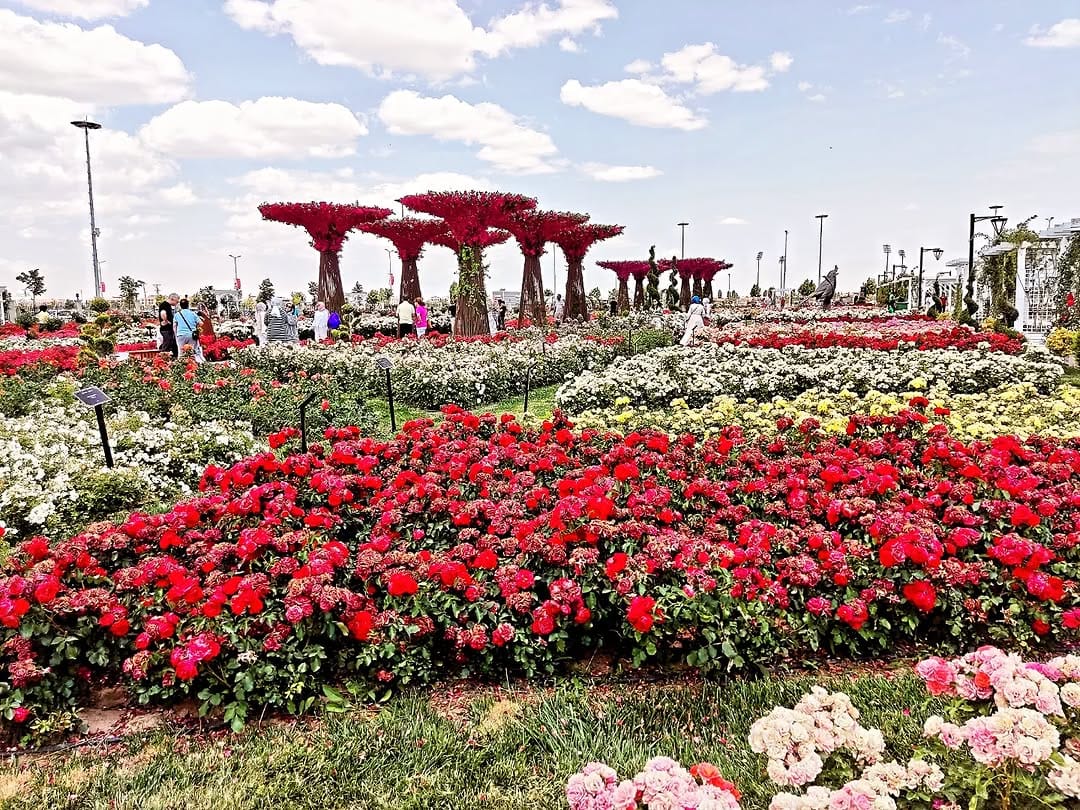 Post 5 by Harun Bilgen on Instagram (carousel)
