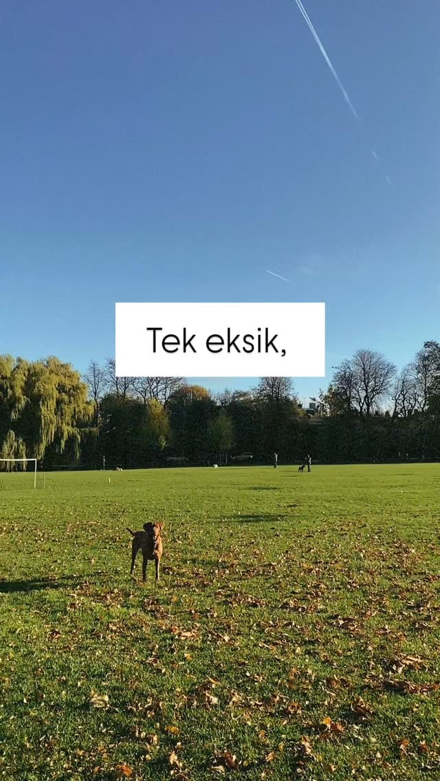 Post 7 by Ozlem Dinc on Instagram (video)