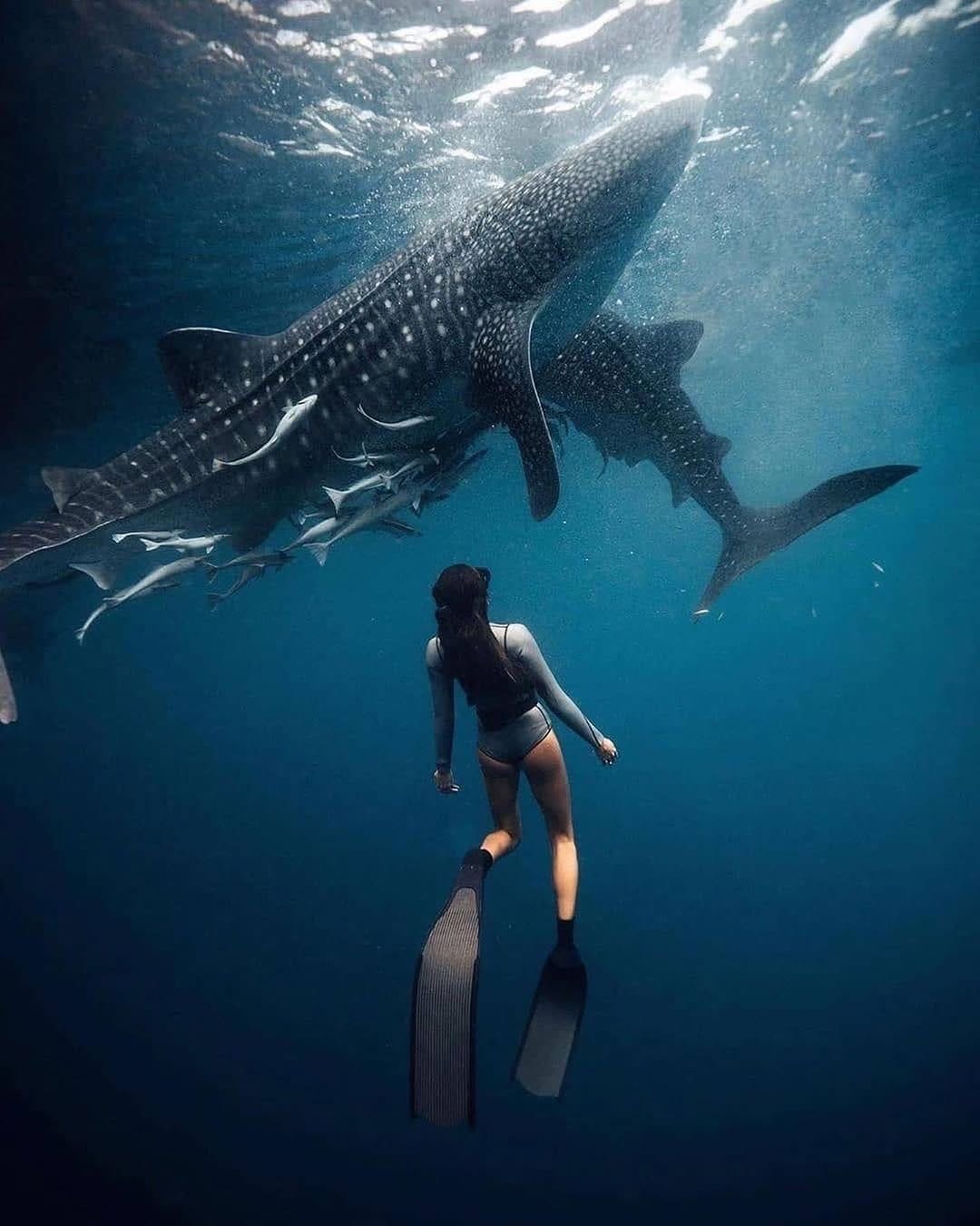 Post 7 by Phi Phi Brasil on Instagram (image)