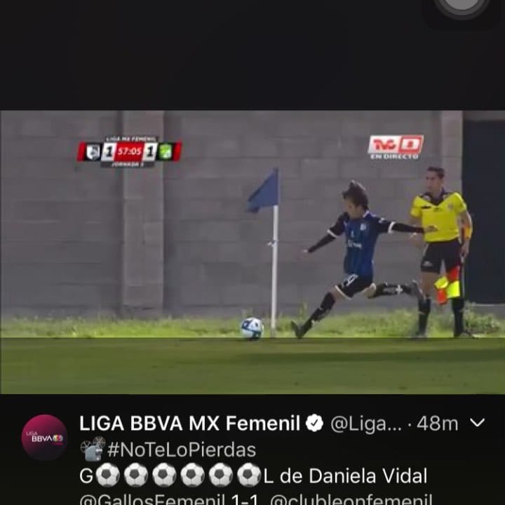 Post 10 by D a n i e l a  V i d a l on Instagram (video)
