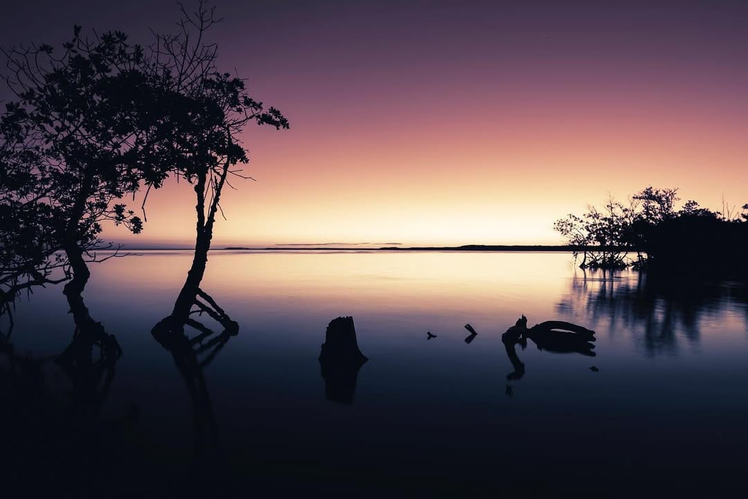 Post 9 by A L E X • G A L I A N O on Instagram (image)