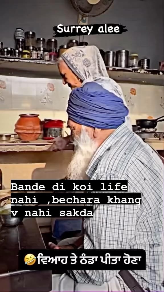 Post 8 by Brampton Wale on Instagram (video)