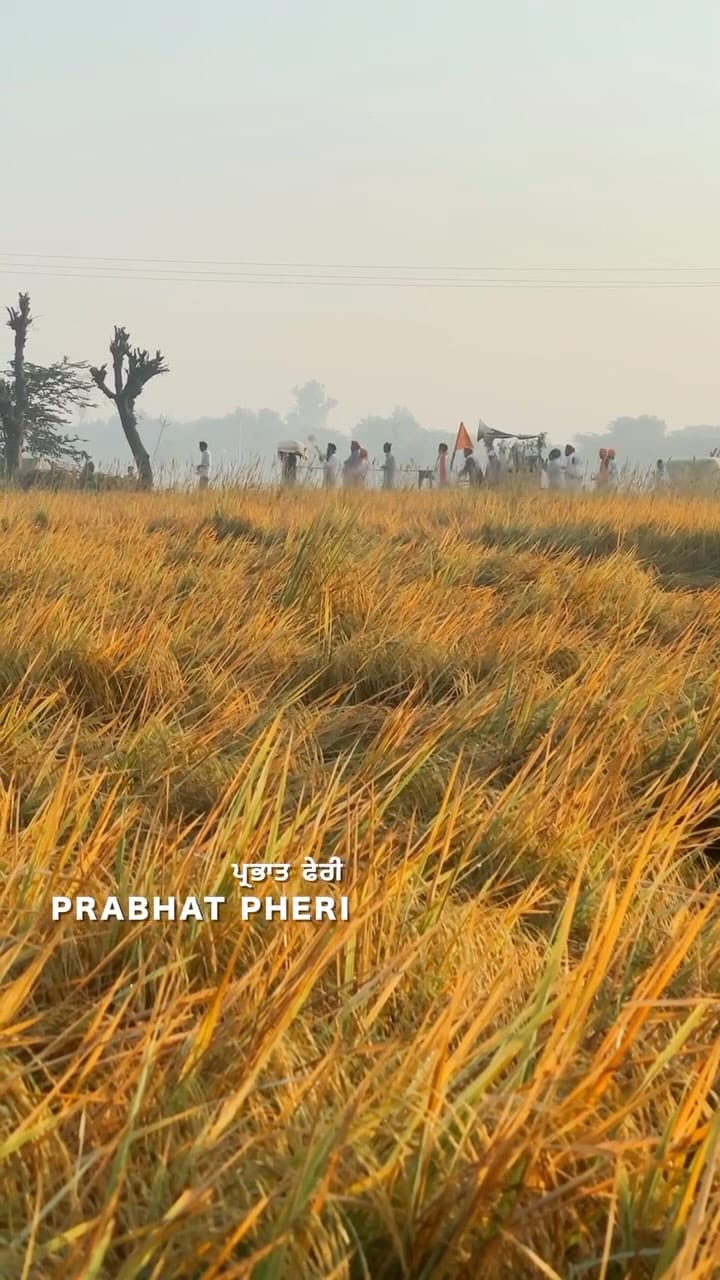 Post 4 by Brampton Wale on Instagram (video)