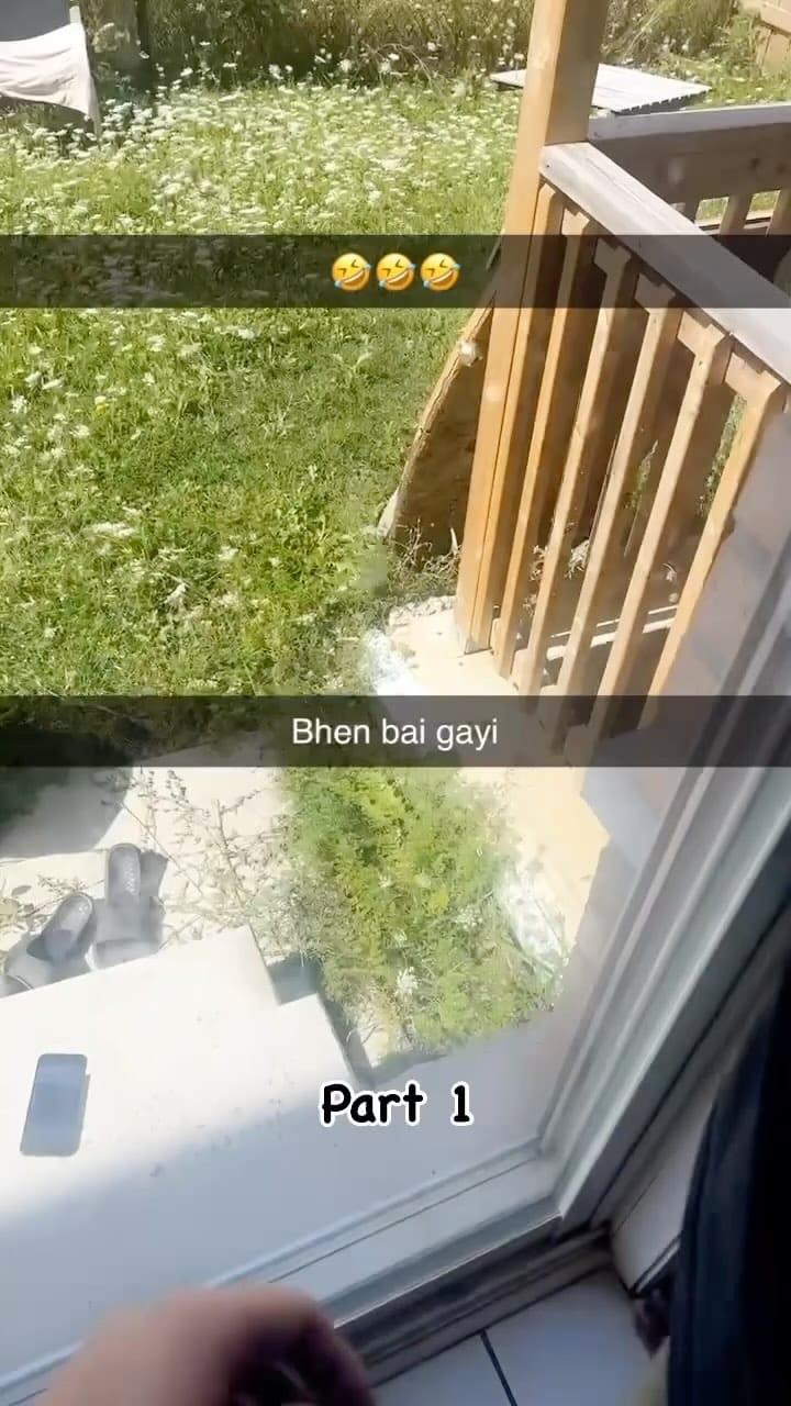 Post 6 by Brampton Wale on Instagram (video)