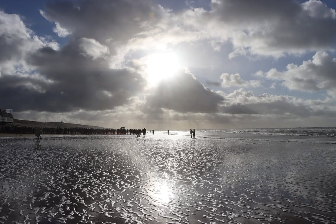 Post 4 by Bernd Bee on Instagram (image)