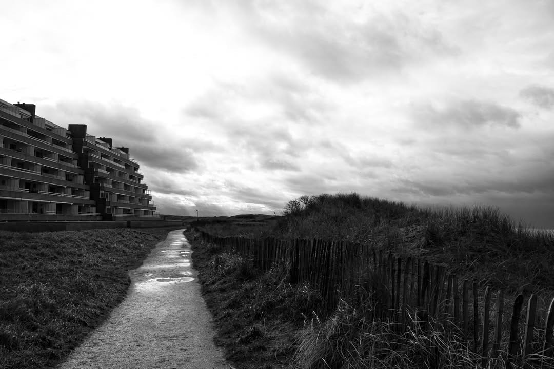 Post 7 by Bernd Bee on Instagram (image)