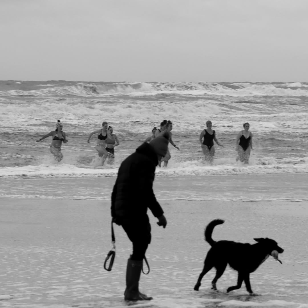 Post 6 by Bernd Bee on Instagram (image)