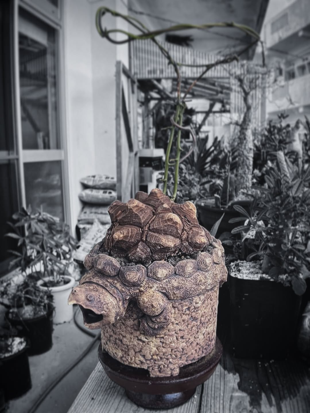 Post 4 by TENDO TABA on Instagram (image)
