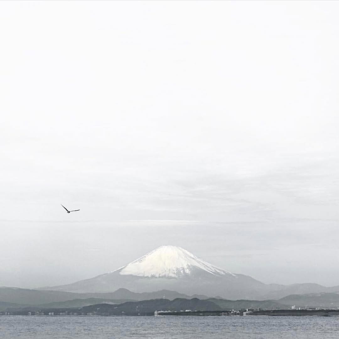 Post 1 by Traveler Supply Co on Instagram (image)