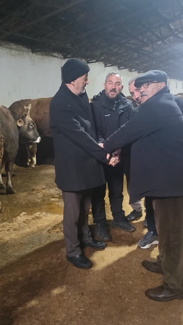 Post 2 by Evren Bayraktar  05436909322 on Instagram (video)