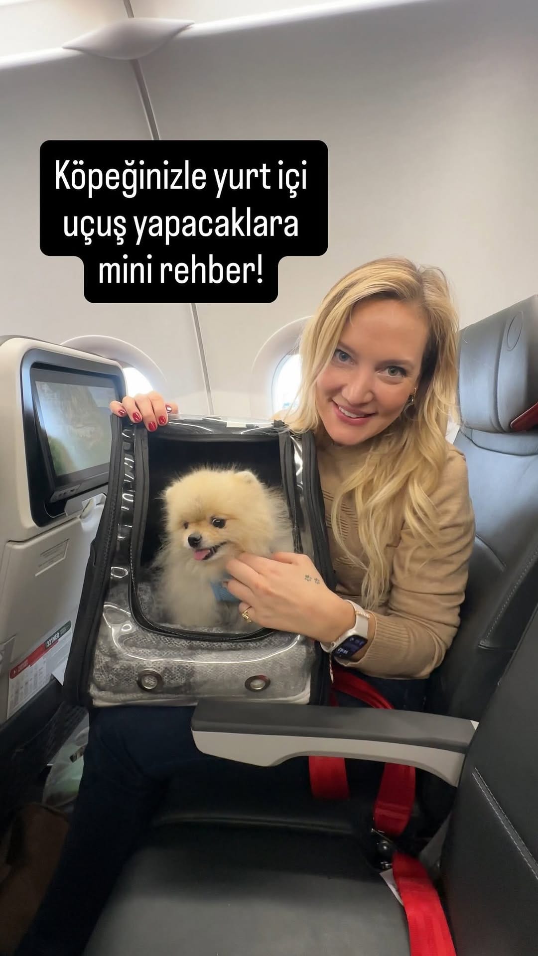 Post 3 by Neslihan Kalkan on Instagram (video)