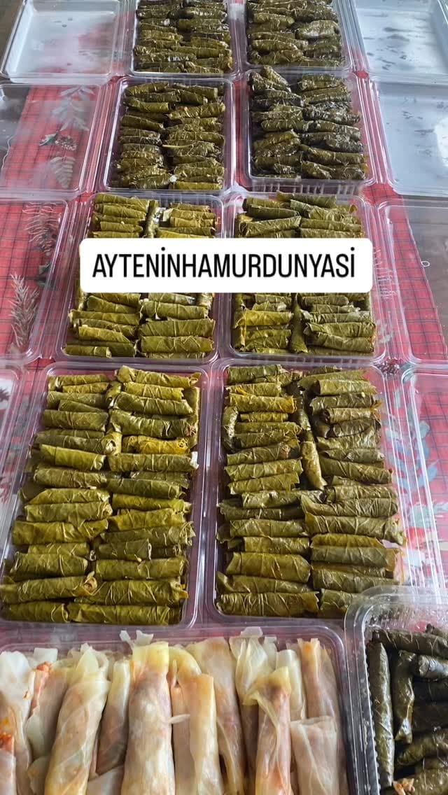 Post 9 by Diyarbakır Ev Yemekleri on Instagram (video)