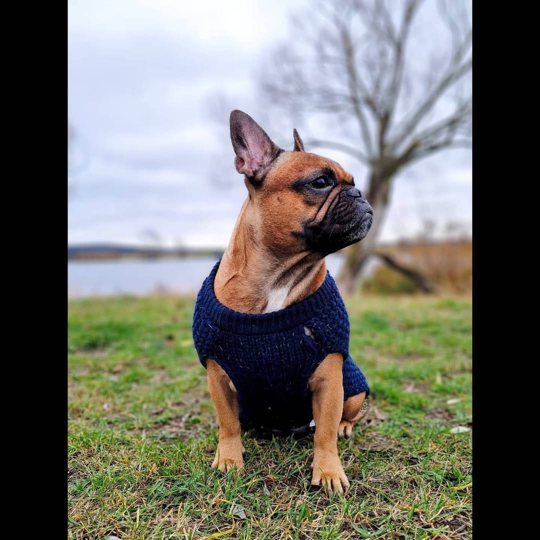 Post 9 by Enrico Piepenburg on Instagram (image)