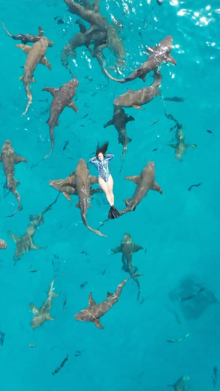 Post 10 by Diana | Fuerteventura | Travel & Eat on Instagram (video)