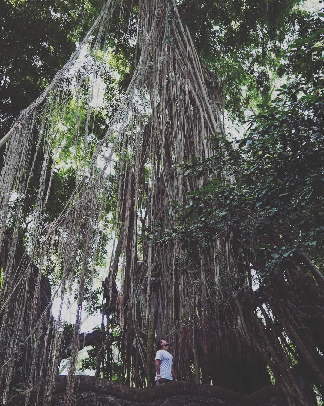Post 4 by L I V E  B Y  T H E  F R A M E on Instagram (image)