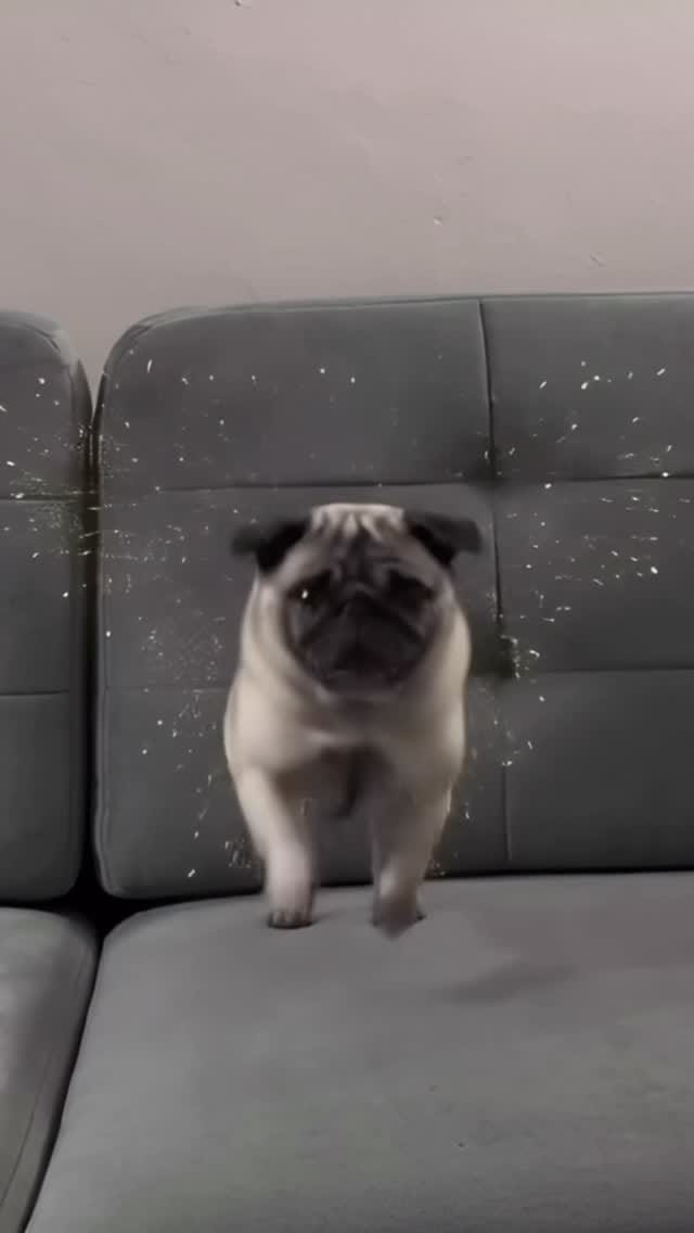 Post 3 by Tino Anselmi on Instagram (video)