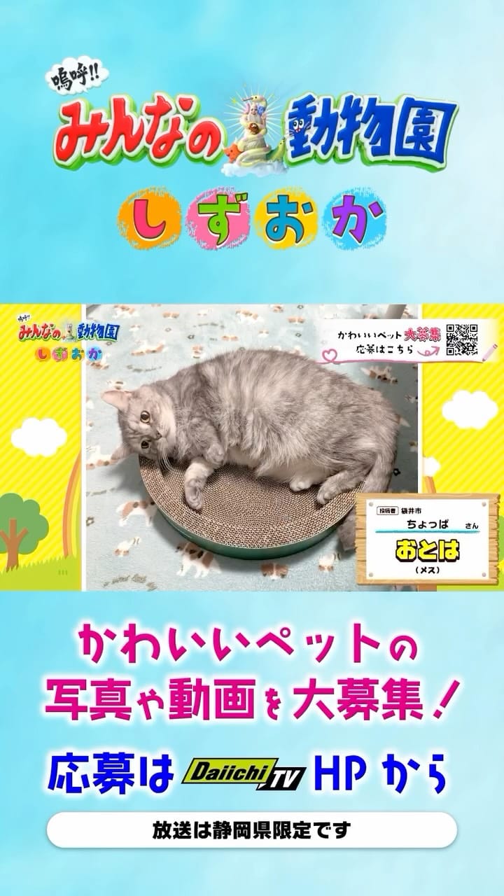 Post 5 by Daiichi-TV 【公式】 on Instagram (video)