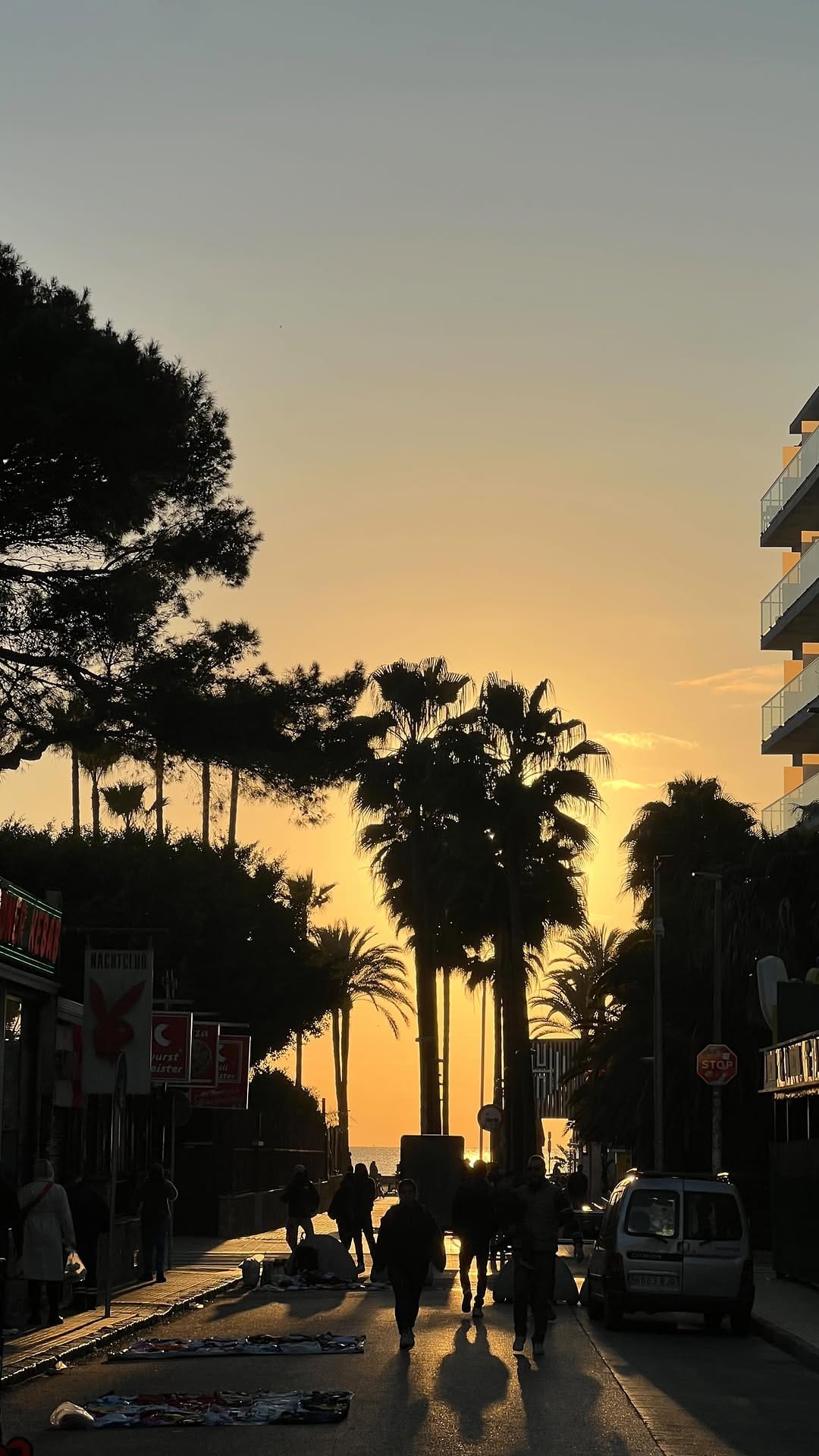 Post 3 by Hoffmann Daniel on Instagram (video)