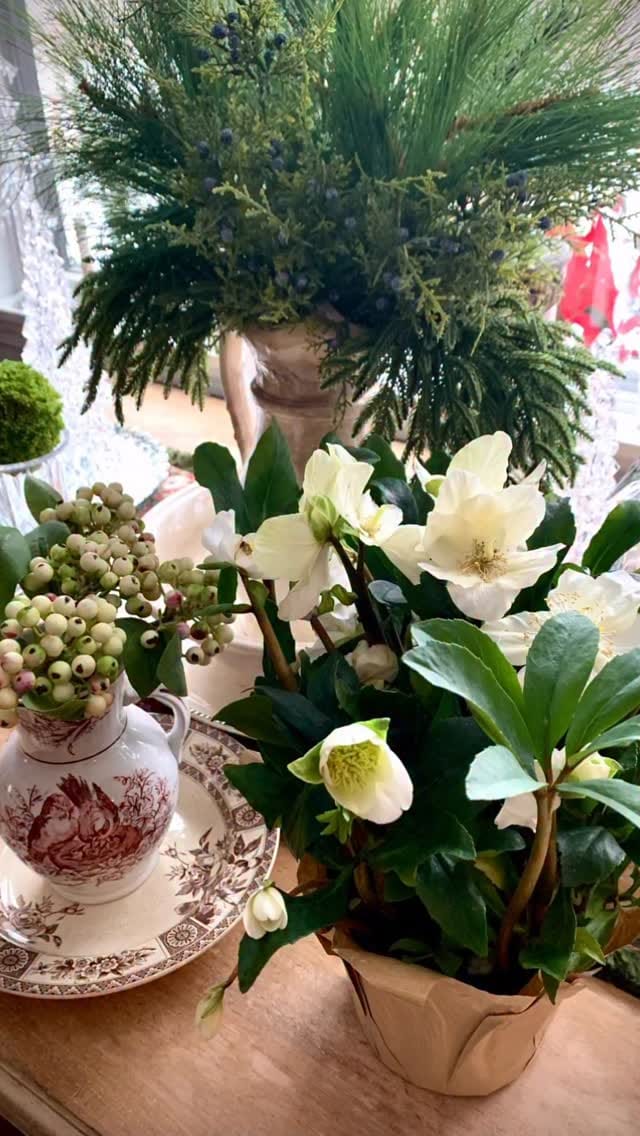 Post 6 by Lisa Lucas on Instagram (video)