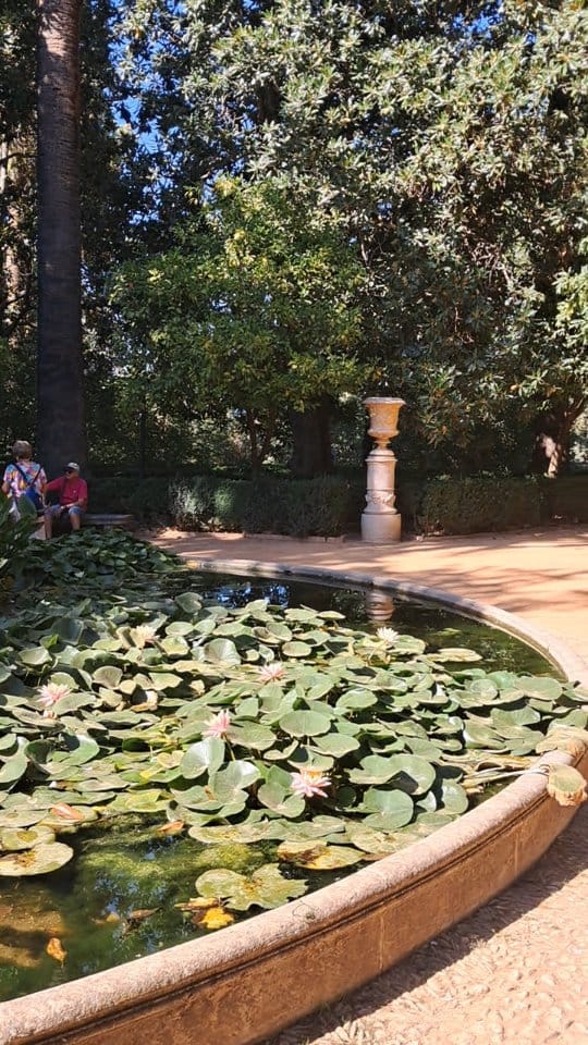 Post 2 by Viajeros por España📍 Spanish travelers 🏁 on Instagram (video)