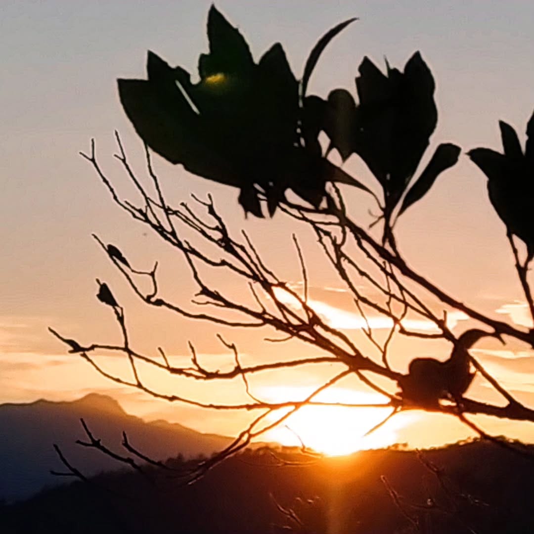 Post 10 by @jvc_pic on Instagram (image)