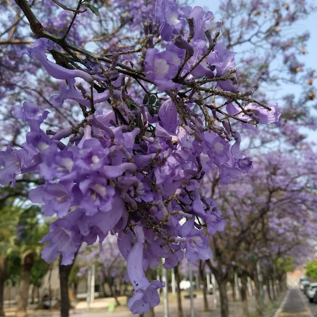 Post 5 by @jvc_pic on Instagram (image)