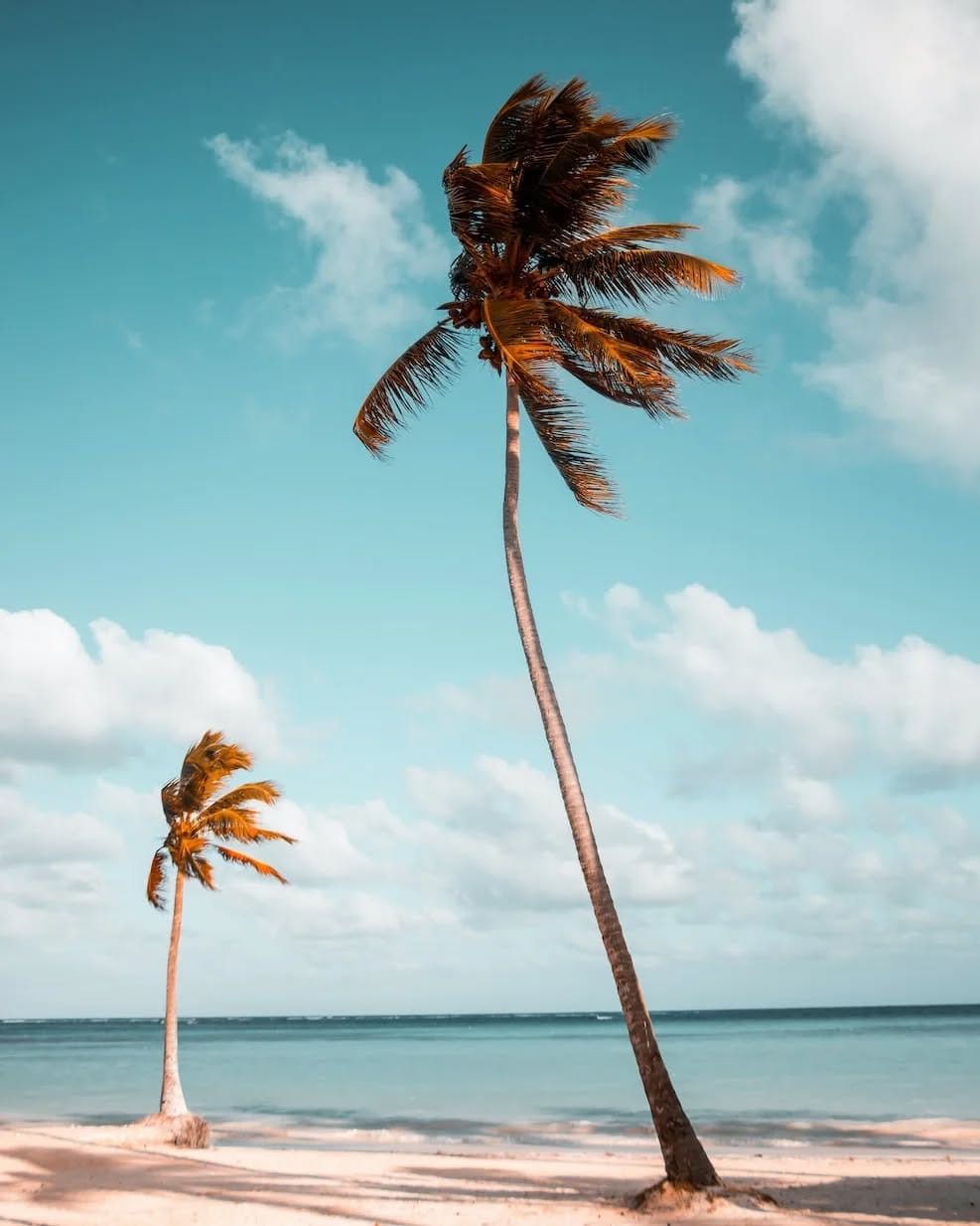 Post 10 by www.azurechic.com on Instagram (image)