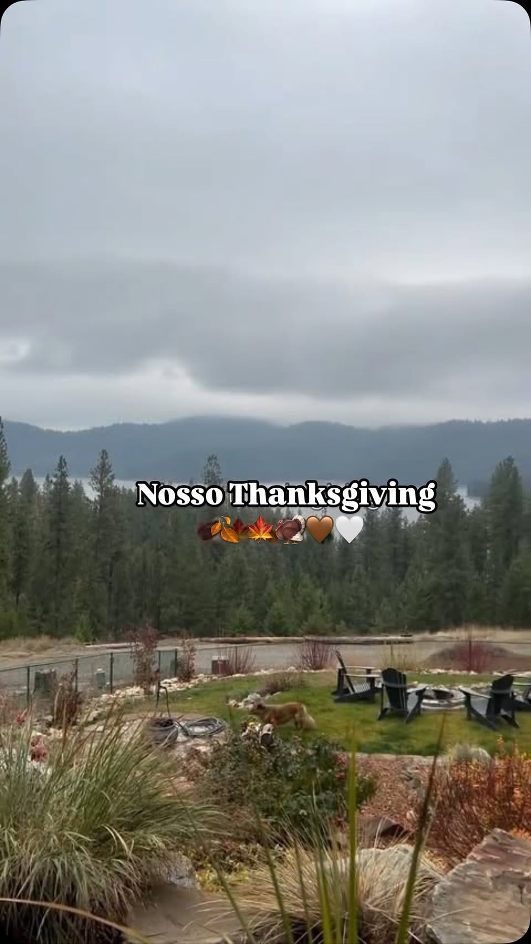Post 10 by Tássila Hall on Instagram (video)