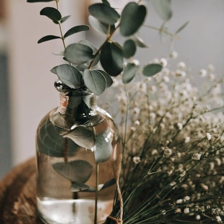 Post 6 by Mademoiselle B. on Instagram (image)
