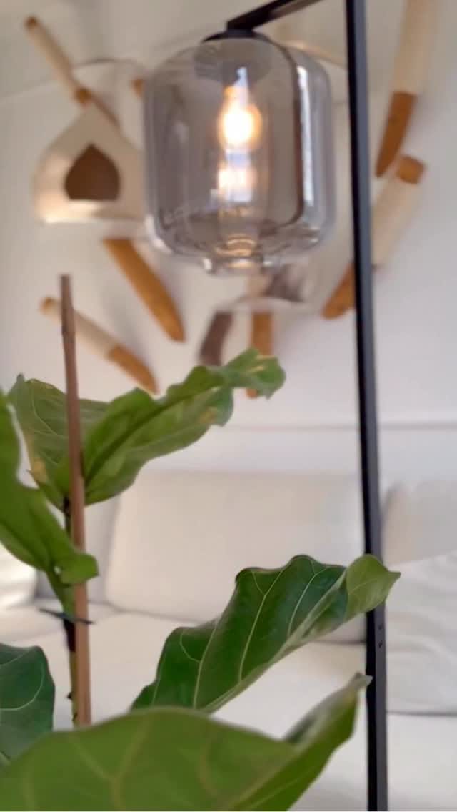 Post 6 by TreeDreams — beautiful Cat Trees on Instagram (video)