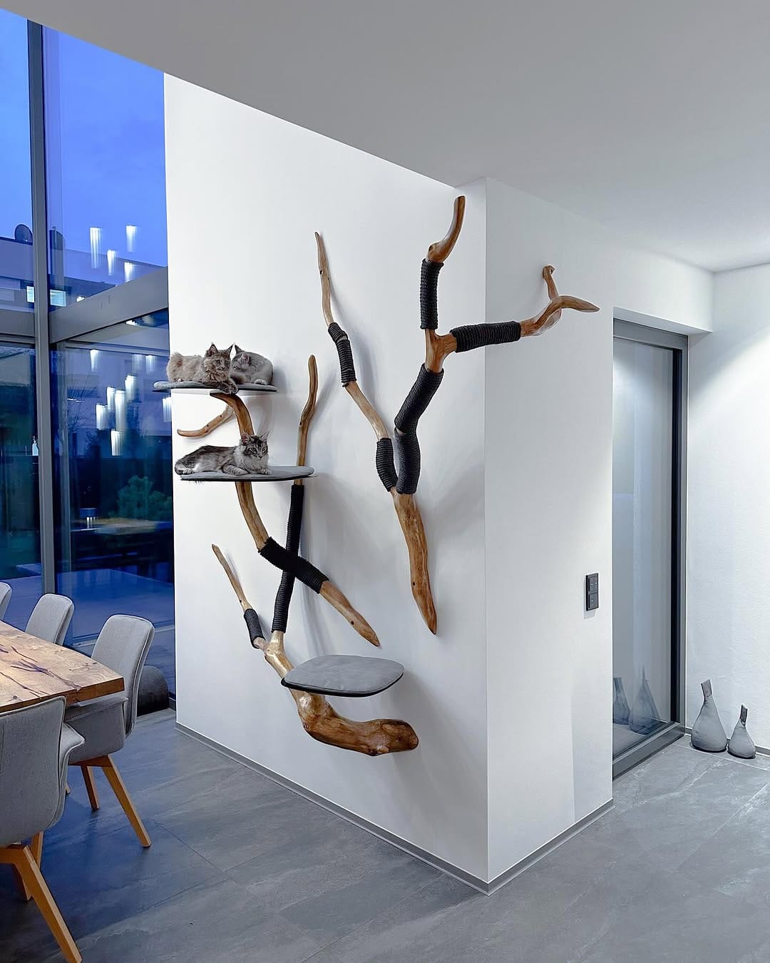 Post 9 by TreeDreams — beautiful Cat Trees on Instagram (carousel)