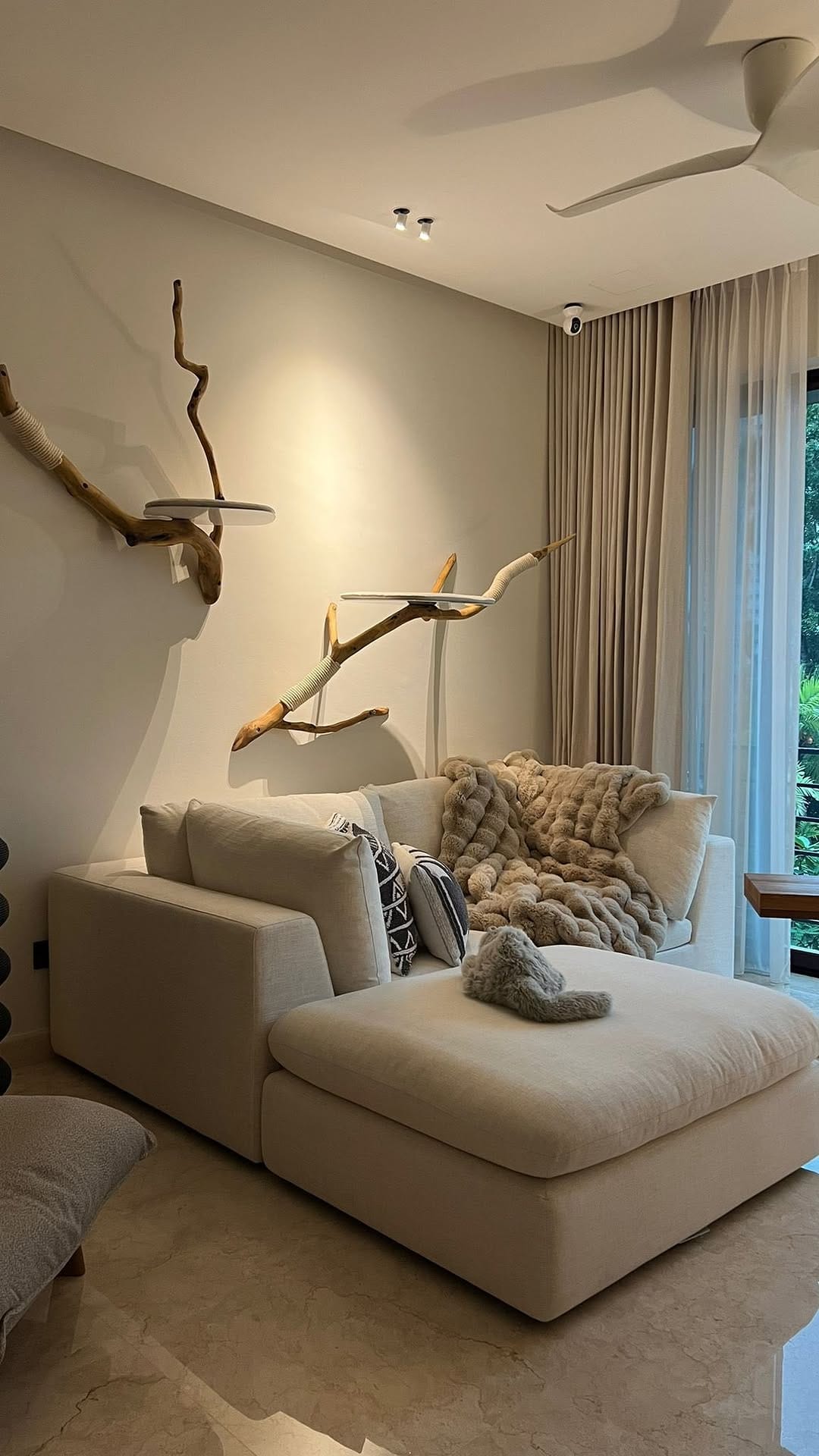 Post 3 by TreeDreams — beautiful Cat Trees on Instagram (video)