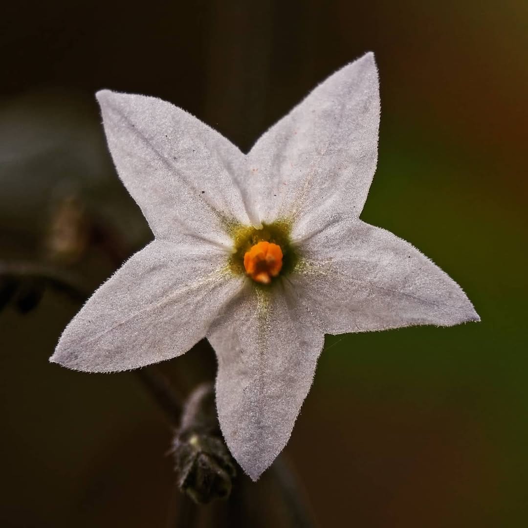 Post 6 by Cagdas Hazer Bekar on Instagram (image)