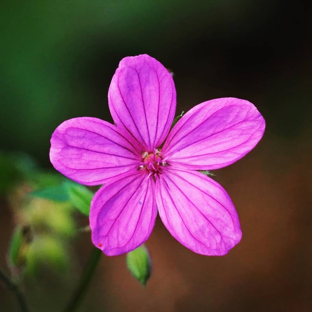 Post 10 by Cagdas Hazer Bekar on Instagram (image)