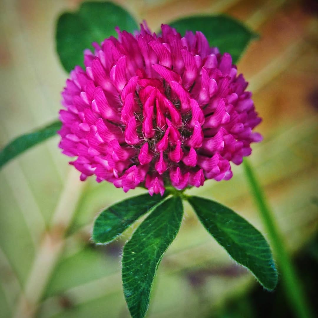 Post 7 by Cagdas Hazer Bekar on Instagram (image)
