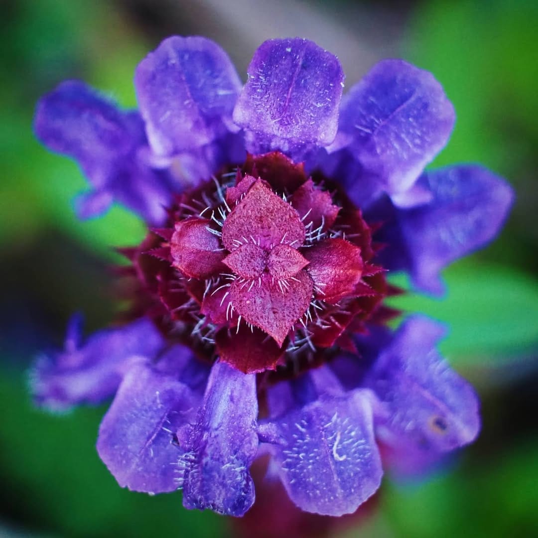 Post 8 by Cagdas Hazer Bekar on Instagram (image)