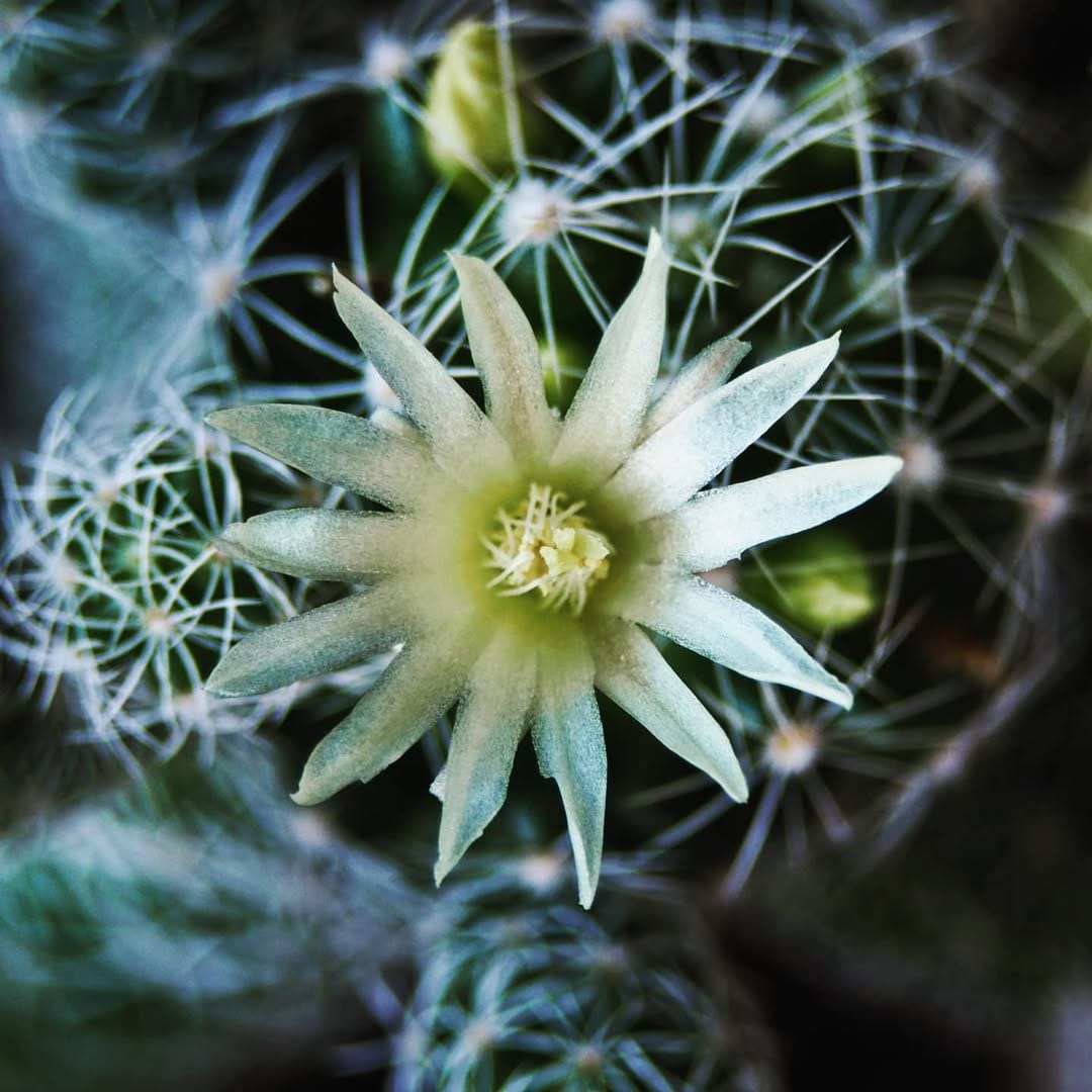 Post 5 by Cagdas Hazer Bekar on Instagram (image)