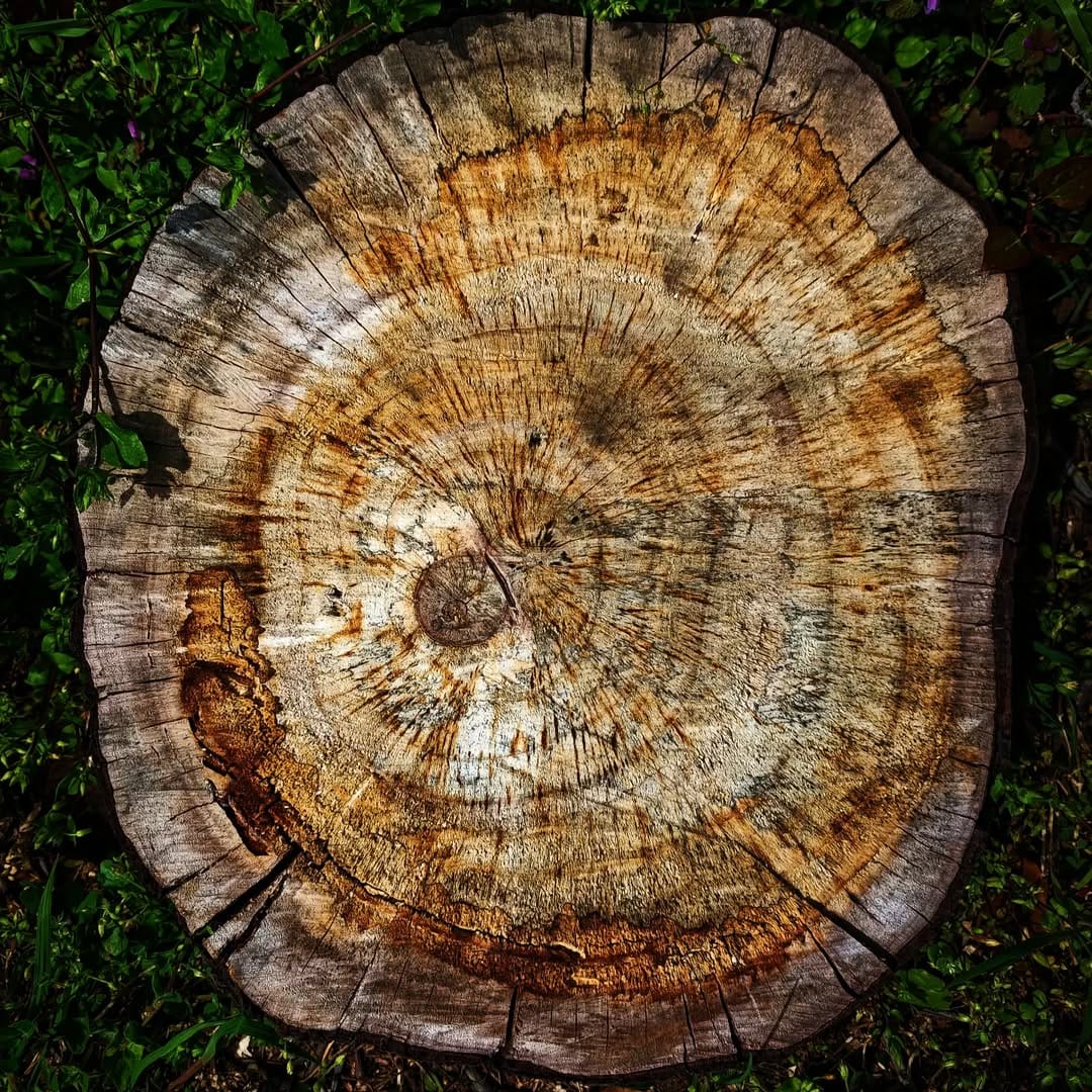 Post 1 by Cagdas Hazer Bekar on Instagram (image)