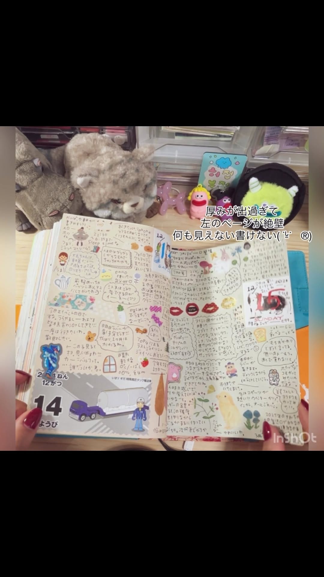 Post 10 by おにくちゃん🍖 on Instagram (video)