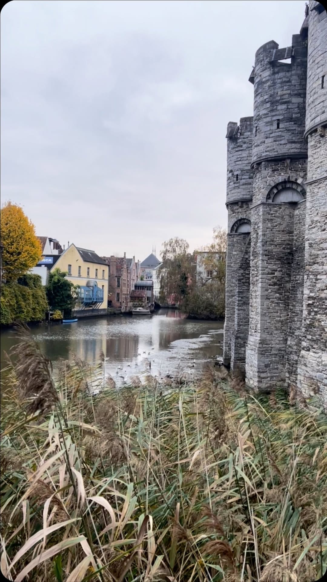 Post 5 by Maria 🇫🇷 on Instagram (video)
