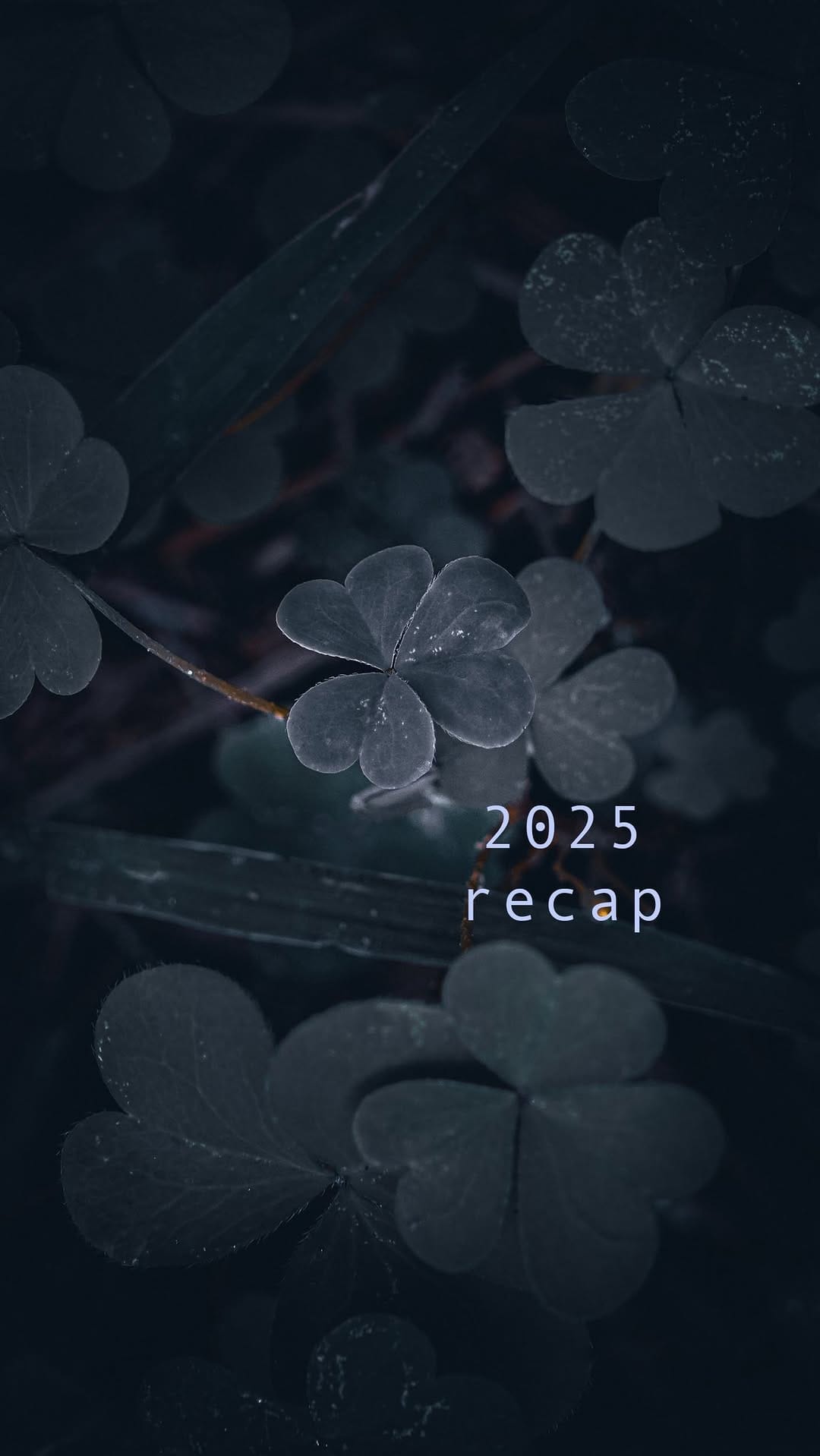Post 2 by ANABEL LÓPEZ on Instagram (video)