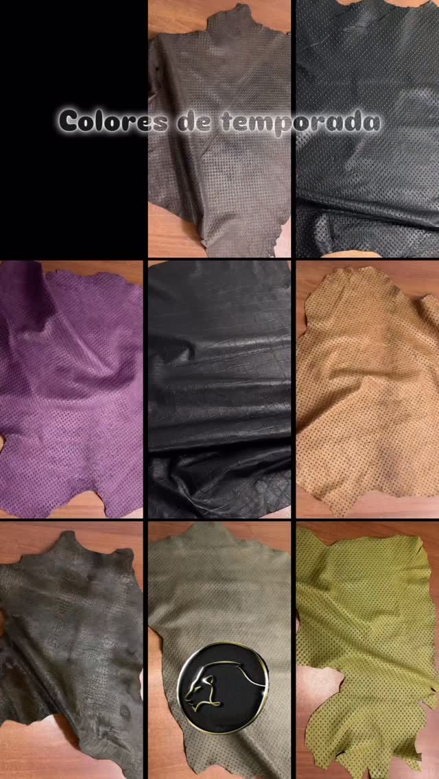 Post 4 by Leon Cueros on Instagram (video)