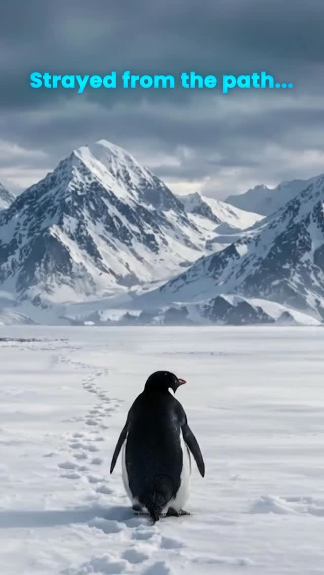Post 8 by Op. Dr. Raşid Toksöz on Instagram (video)