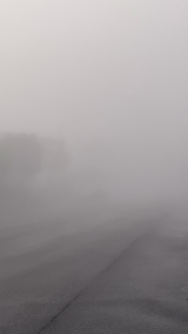 Post 4 by 👸🏾शैबा on Instagram (video)
