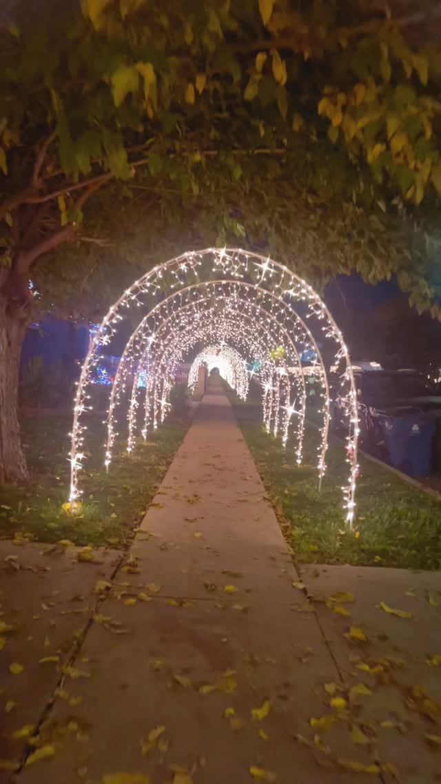 Post 3 by 👸🏾शैबा on Instagram (video)
