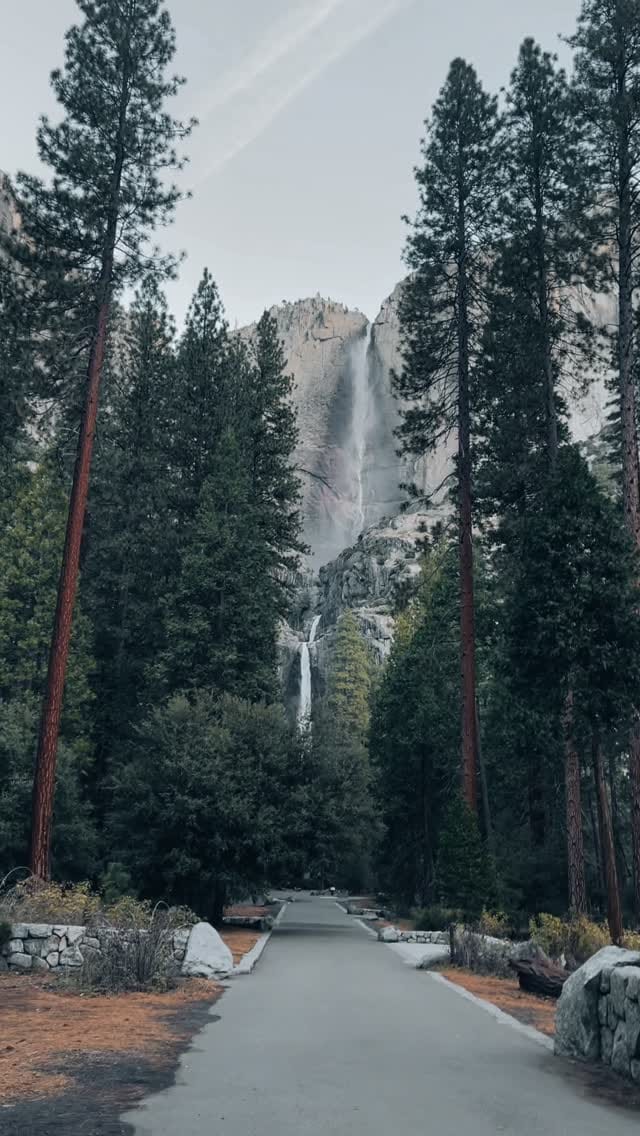 Post 6 by 👸🏾शैबा on Instagram (video)