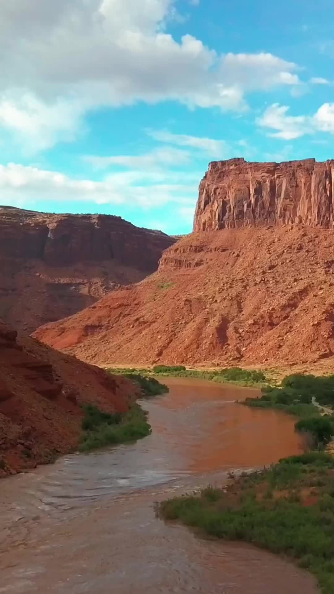 Post 1 by El Gato Chueco on Instagram (video)
