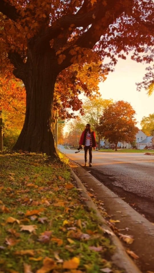 Post 7 by Vass | Chicago Photographer on Instagram (video)
