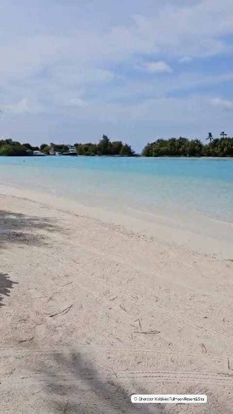 Post 7 by Ahmed Desouky on Instagram (video)
