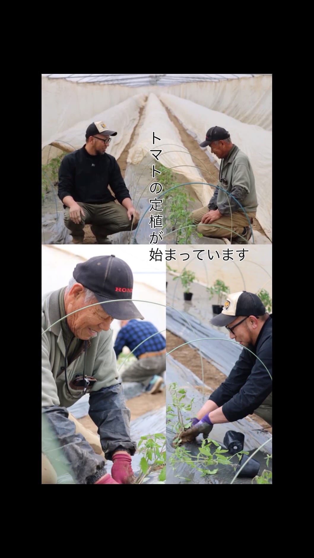 Post 4 by JA愛媛たいき営農部【公式】モニター企画、レシピ、愛媛グルメ on Instagram (video)
